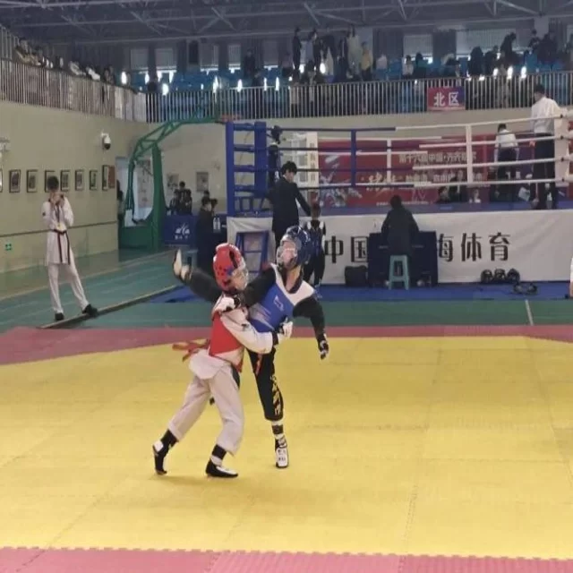 转会市场趋势观察:第355组数据深度解读